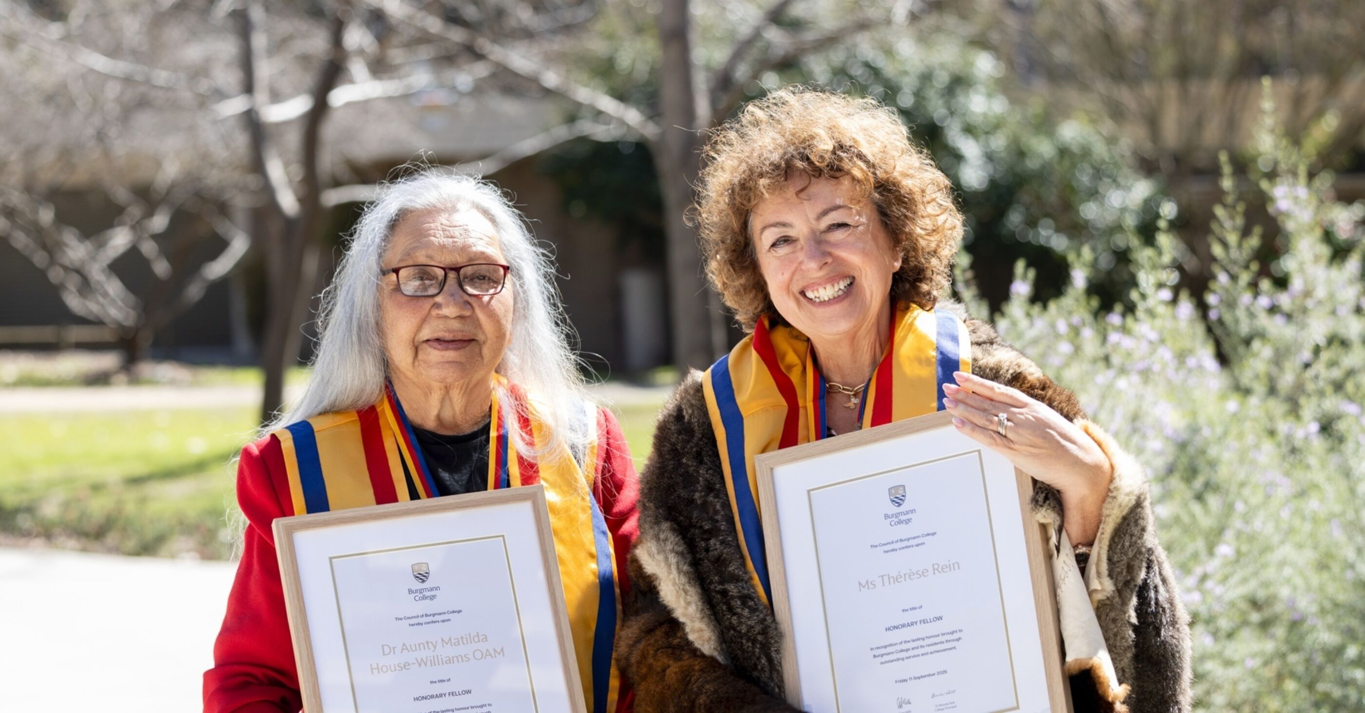 Honorary Fellow Banner Cropped