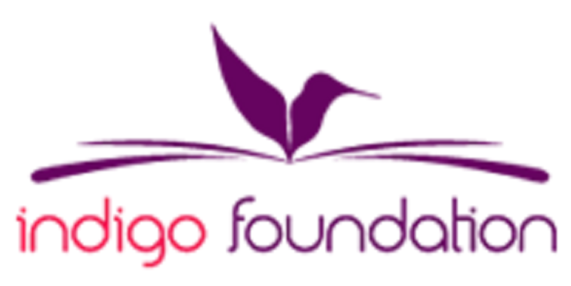 Indigo foundation logo