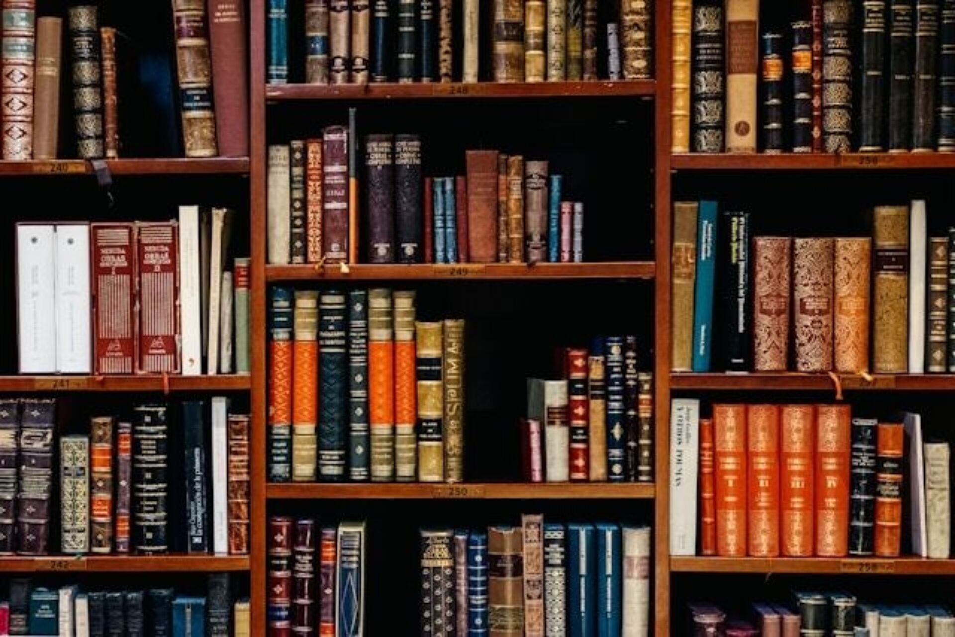 A photograph of many hard-cover books on display in a bookcase.