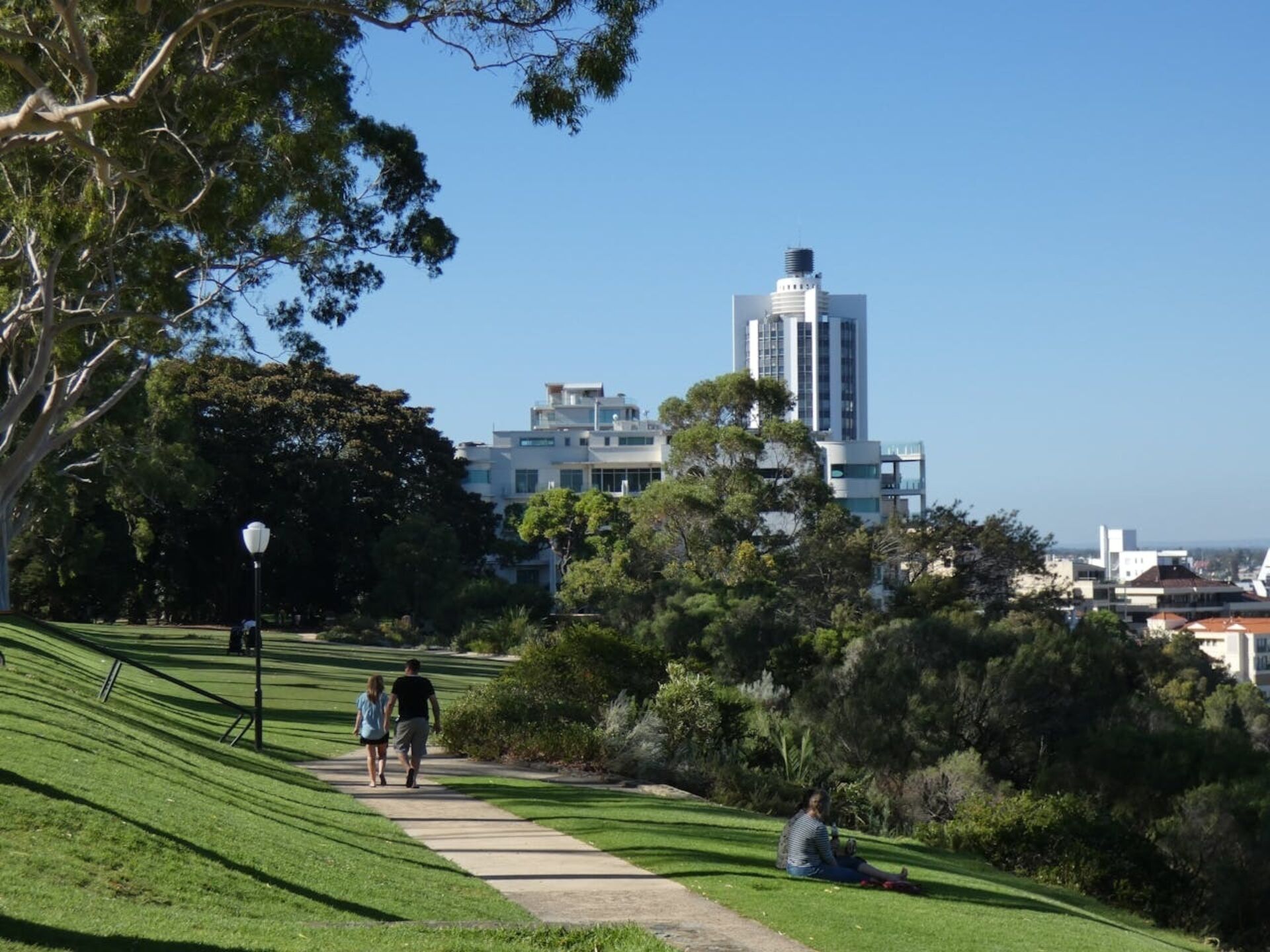 Sunny day in Perth's Kings Park with city view