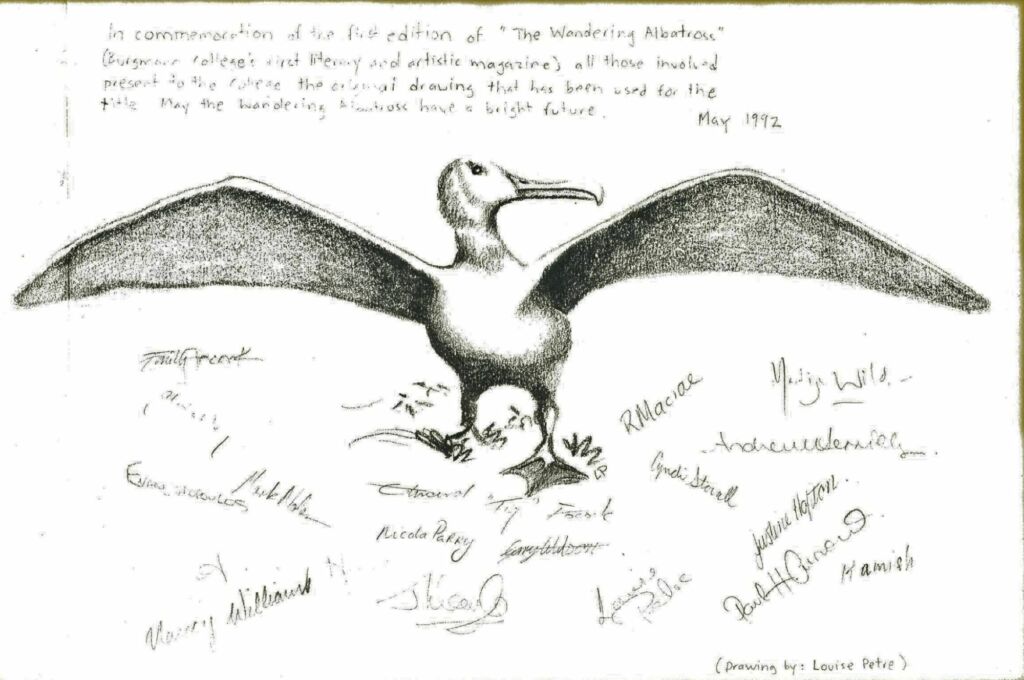 The wandering albatross3