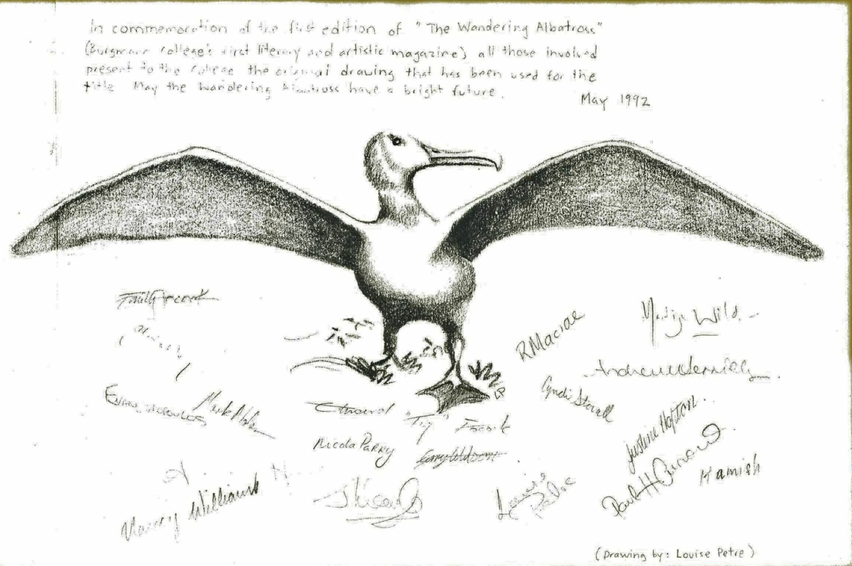 The wandering albatross3