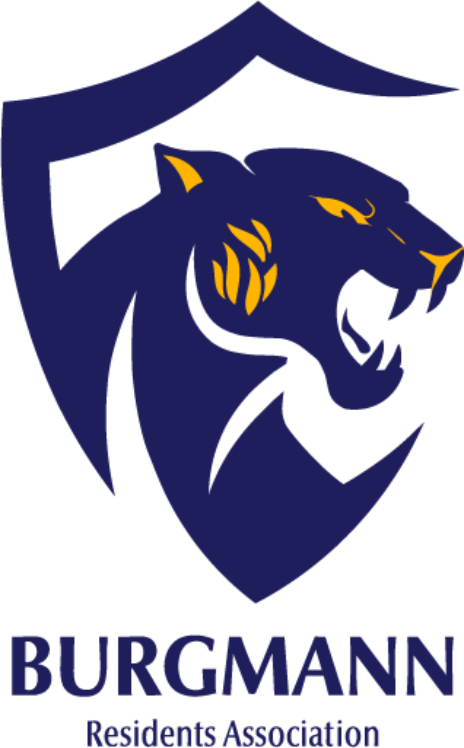2025 new BRA panther logo
