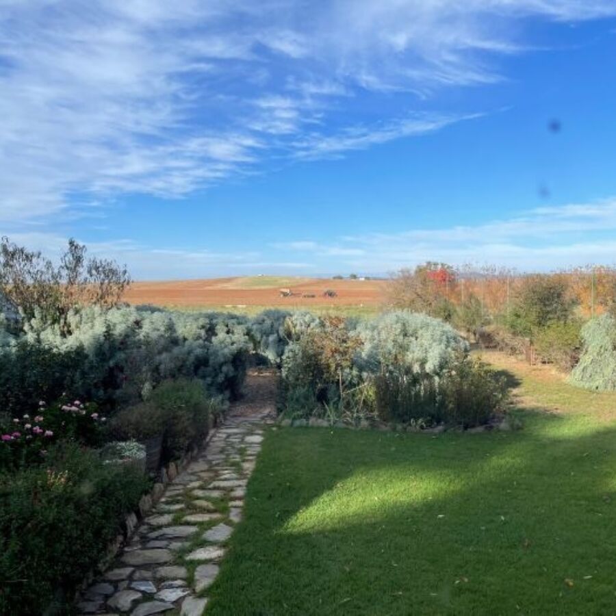 Evelyn Tilley Family farm backyard rsz