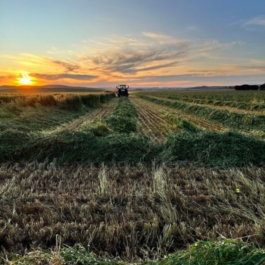 Evelyn Tilley Family farm tractor and sunset rsz