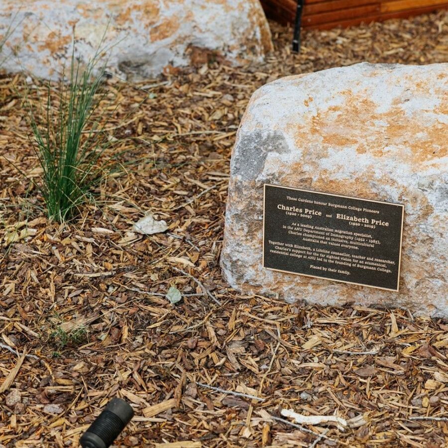 0 X0 A2926 collectionsfromhim 1