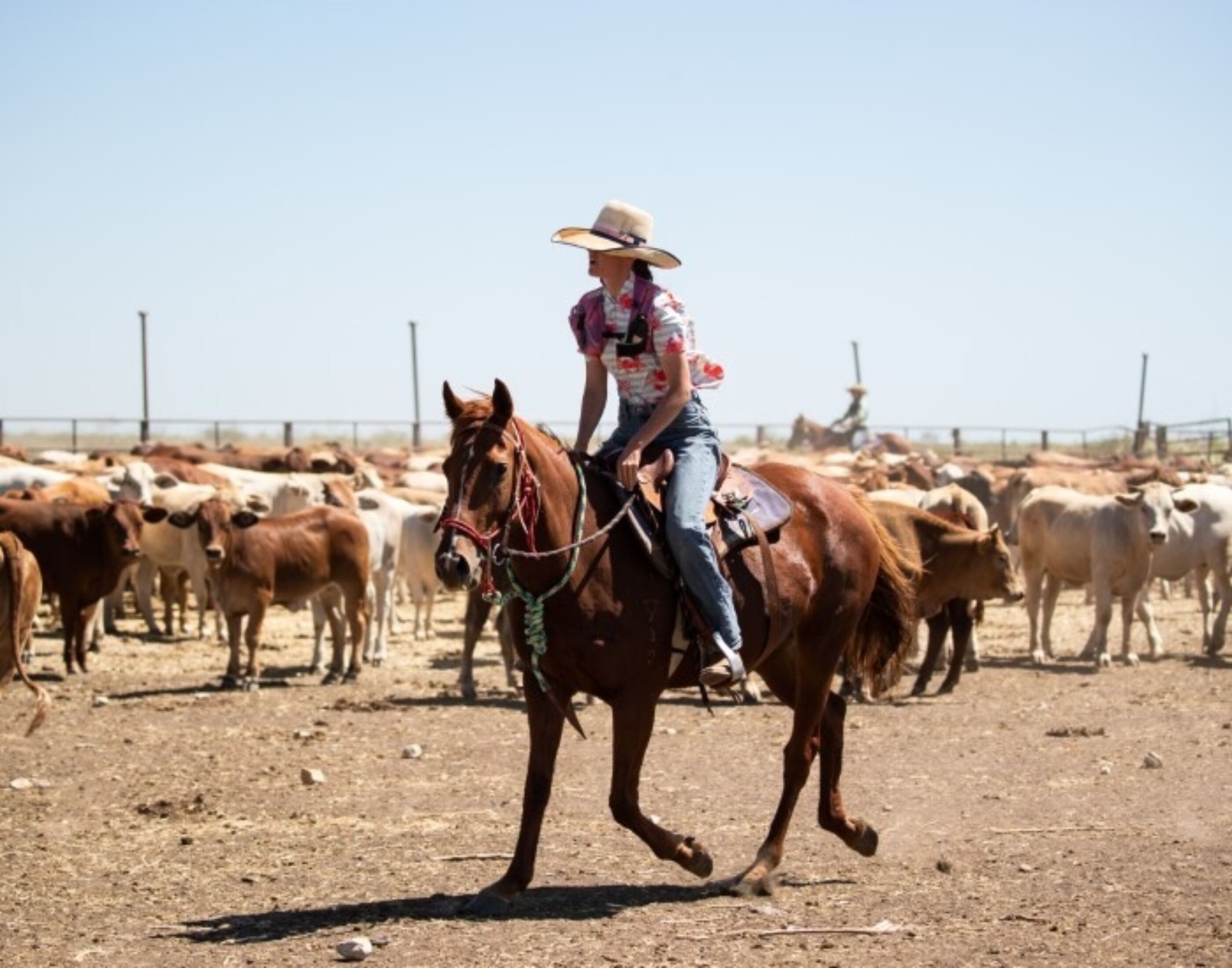 Liss Nixon horseback Outback Magazine website